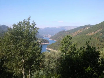 Terreno Misto para Venda em Louredo