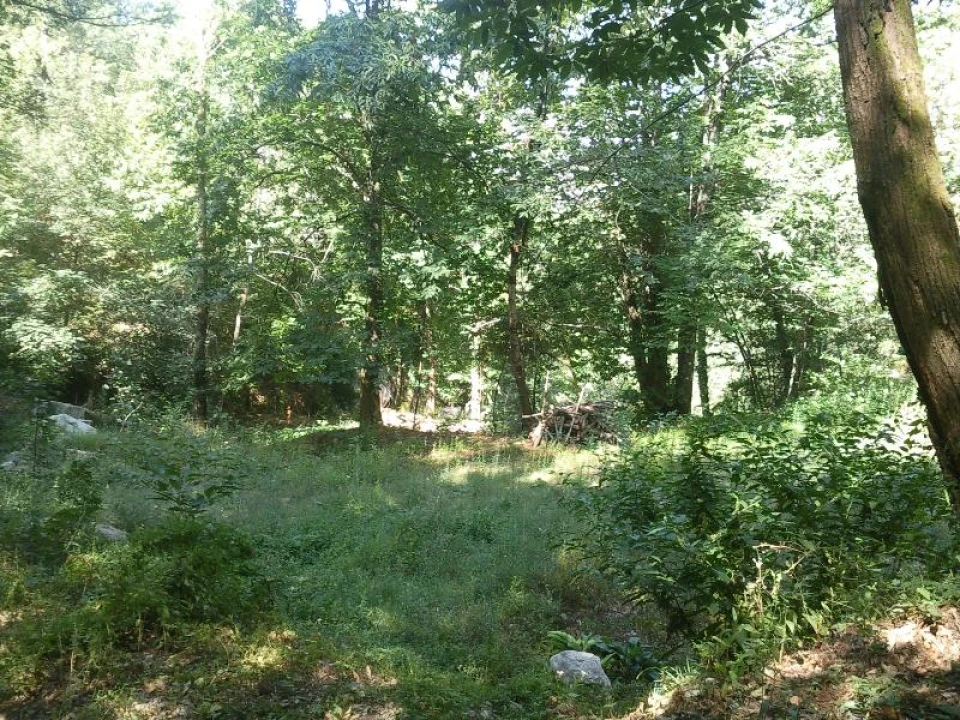 Terreno Misto para Venda em Louredo Foto 3