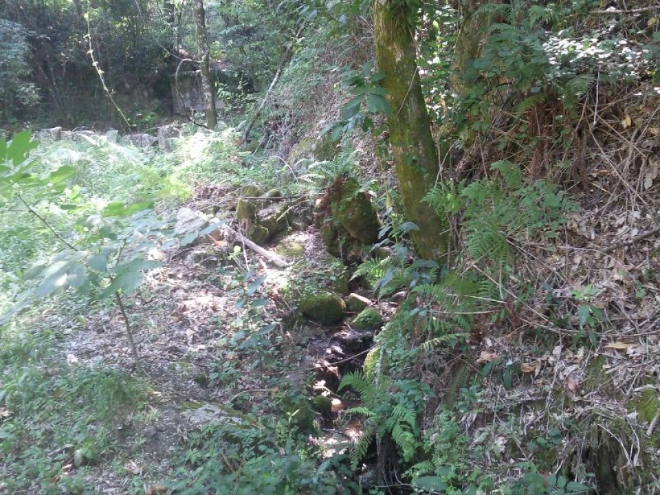 Terreno Misto para Venda em Louredo Foto 5