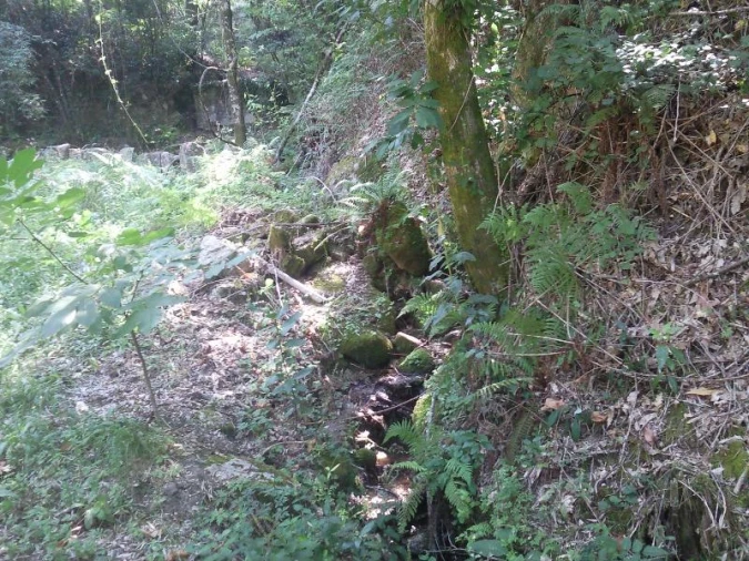 Terreno Misto para Venda em Louredo Foto 5