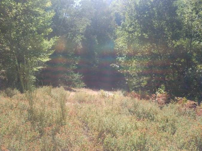 Terreno Misto para Venda em Louredo Foto 13
