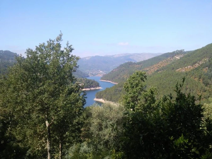 Terreno Misto para Venda em Louredo Foto 16