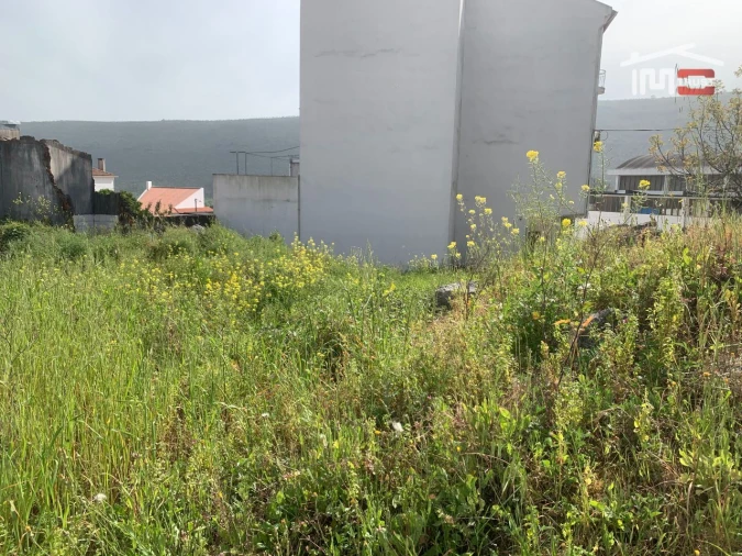Terreno P/ Prédio para Venda em Mira de Aire Foto 3