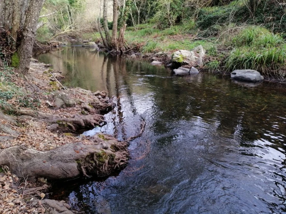 Quinta T3 para Venda em Santo Antonio das Areias Foto 28