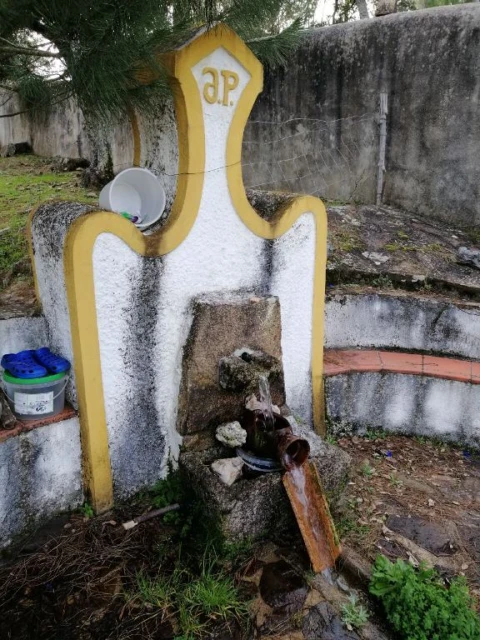 Quinta T3 para Venda em Santo Antonio das Areias