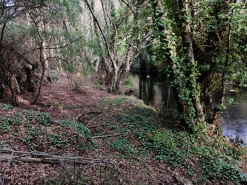 Quinta T3 para Venda em Santo Antonio das Areias
