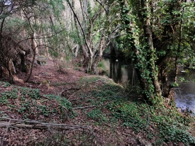 Quinta T3 para Venda em Santo Antonio das Areias Foto 29