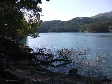 Terreno para Venda em Parada do Bouro