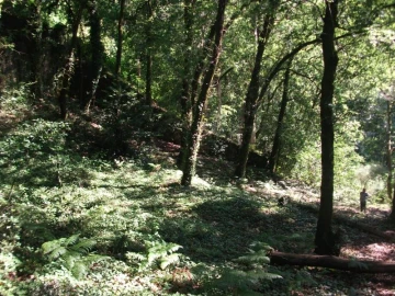 Terreno para Venda em Parada do Bouro