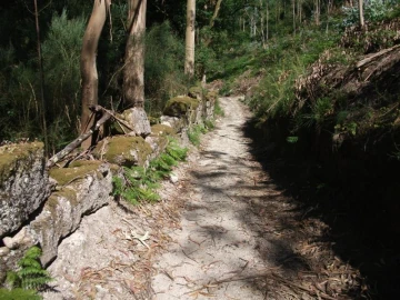 Terreno para Venda em Parada do Bouro