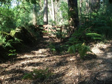Terreno para Venda em Parada do Bouro