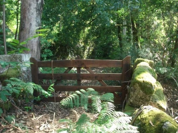 Terreno para Venda em Parada do Bouro