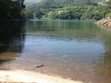 Terreno para Venda em Parada do Bouro