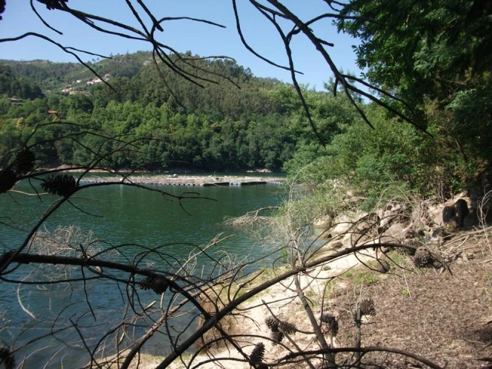 Terreno para Venda em Parada do Bouro Foto 3