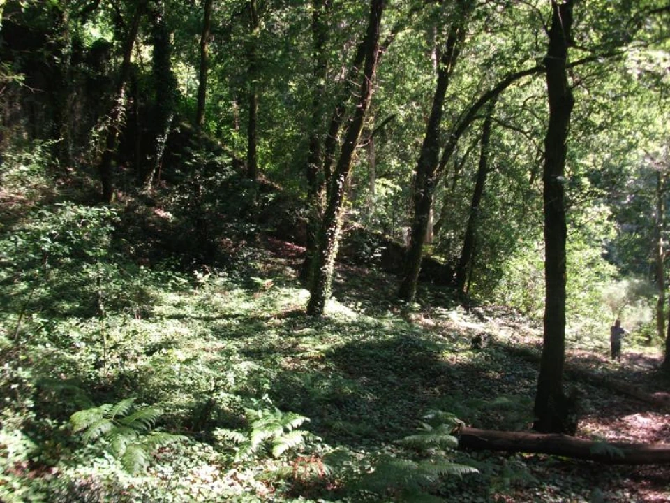 Terreno para Venda em Parada do Bouro Foto 4
