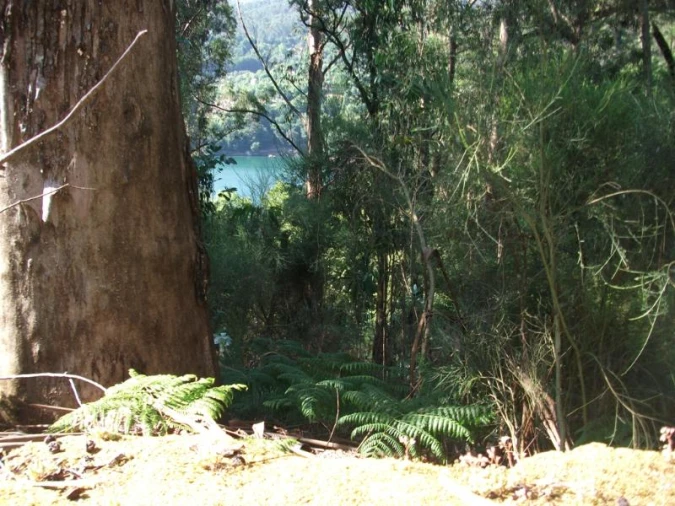 Terreno para Venda em Parada do Bouro Foto 6