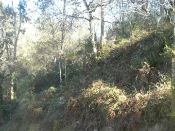 Terreno Agricola ou Rústico para Venda em Caniçada e Soengas