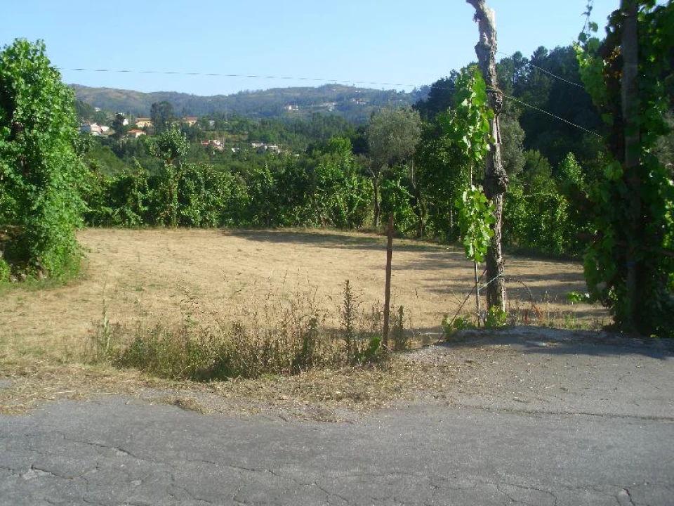 Terreno Agricola ou Rústico para Venda em Caniçada e Soengas Foto 2