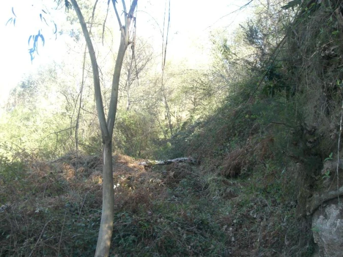 Terreno Agricola ou Rústico para Venda em Caniçada e Soengas Foto 7