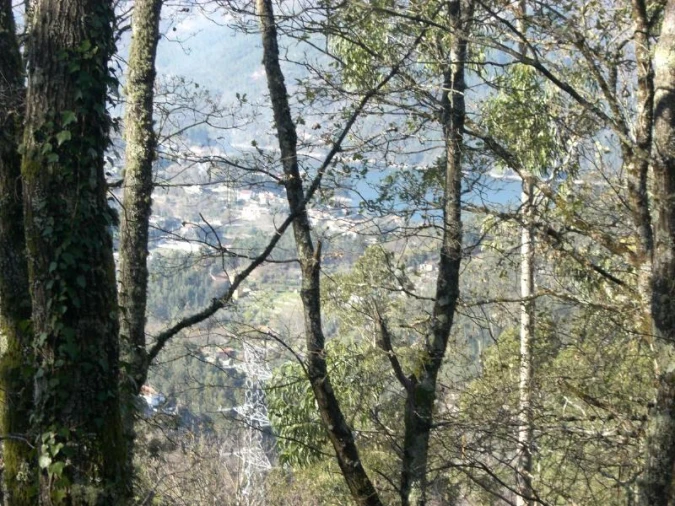 Terreno Agricola ou Rústico para Venda em Caniçada e Soengas Foto 9