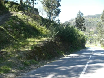 Terreno para Venda em Caniçada e Soengas