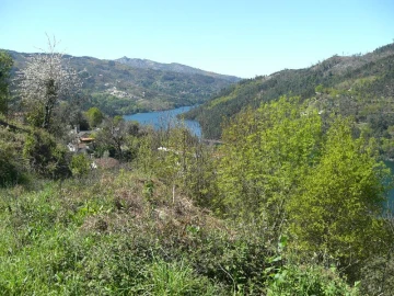 Terreno para Venda em Caniçada e Soengas