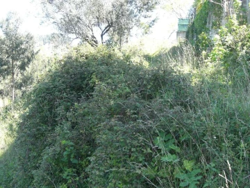 Terreno para Venda em Caniçada e Soengas