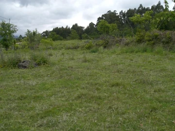 Terreno para Venda em Caniçada e Soengas