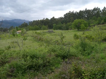 Terreno para Venda em Caniçada e Soengas