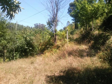 Terreno para Venda em Vilar da Veiga