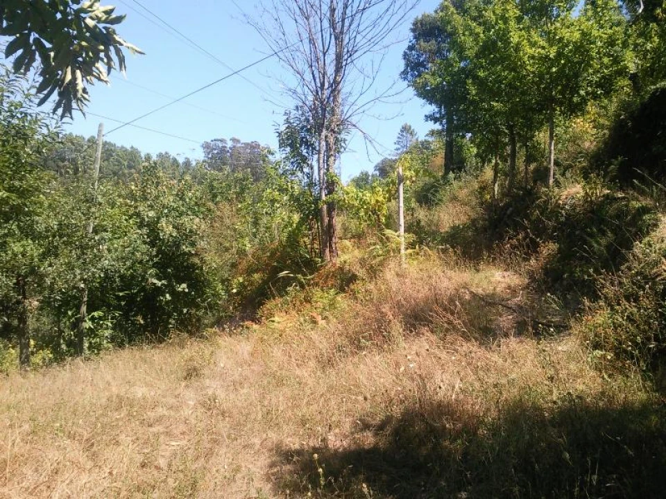 Terreno para Venda em Vilar da Veiga Foto 2