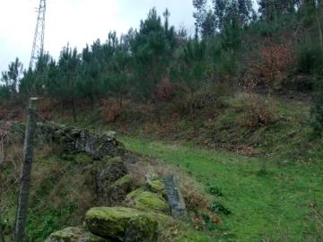 Terreno Agricola ou Rústico para Venda em Mosteiro