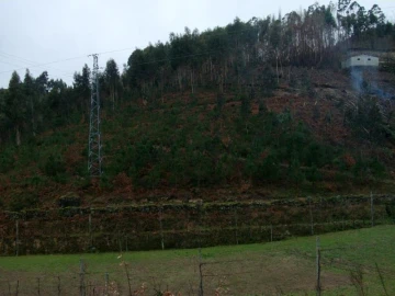 Terreno Agricola ou Rústico para Venda em Mosteiro