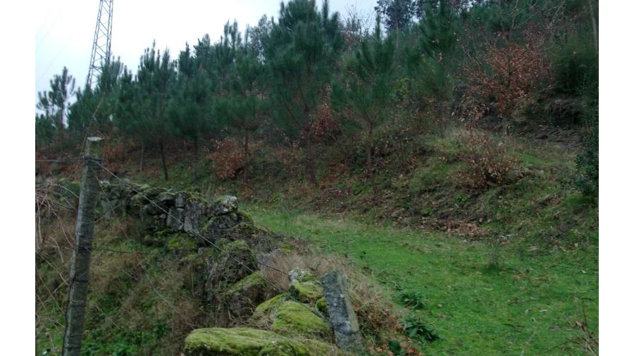Terreno Agricola ou Rústico para Venda em Mosteiro