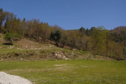 Terreno Agricola ou Rústico para Venda em Cantelães