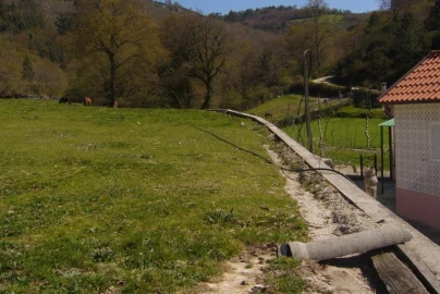 Terreno Agricola ou Rústico para Venda em Cantelães