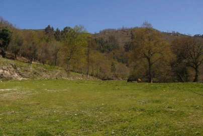 Terreno Agricola ou Rústico para Venda em Cantelães