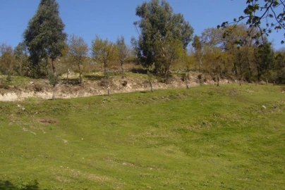 Terreno Agricola ou Rústico para Venda em Cantelães