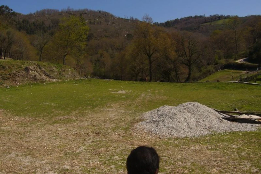 Terreno Agricola ou Rústico para Venda em Cantelães Foto 7