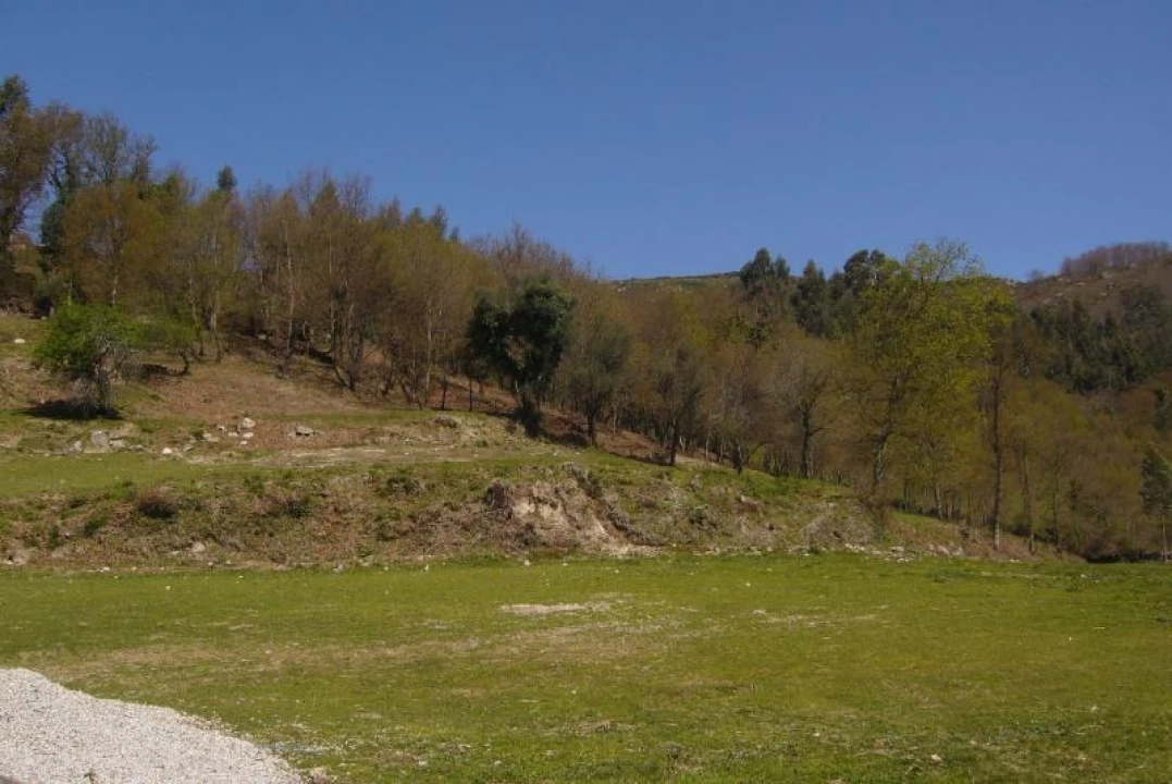 Terreno Agricola ou Rústico para Venda em Cantelães Foto 8