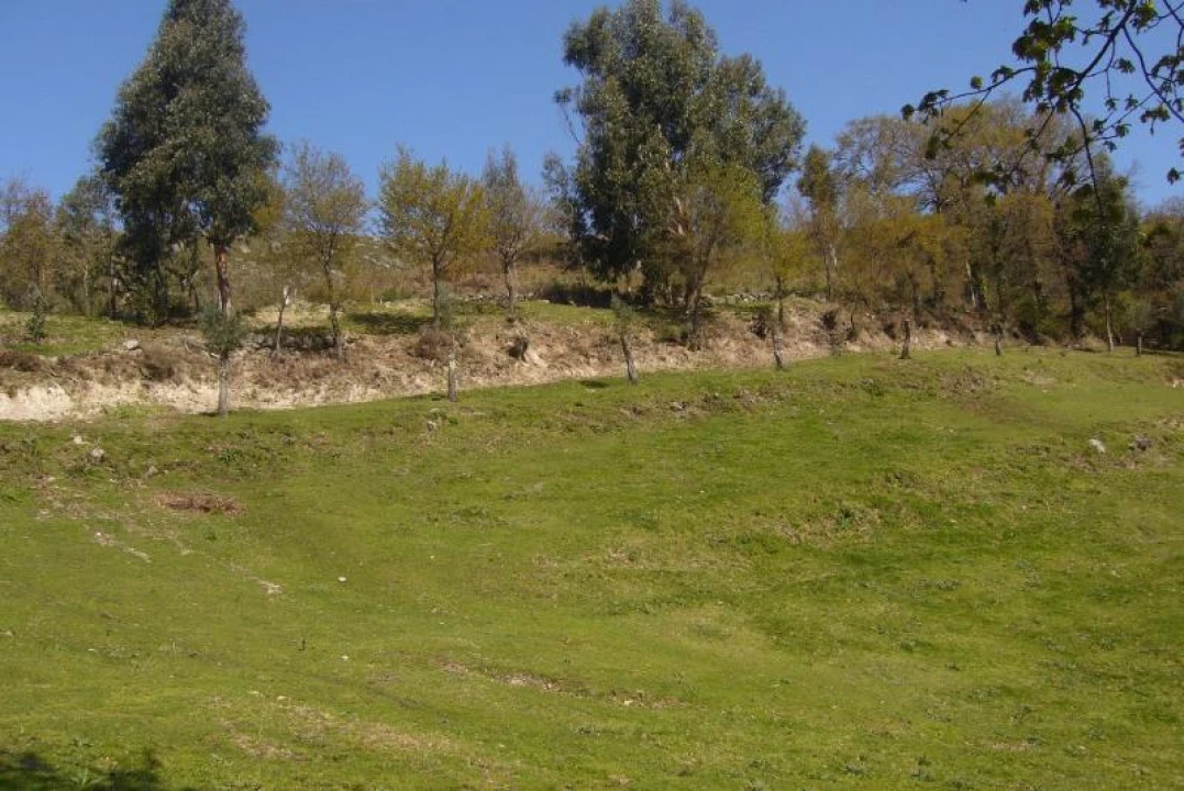 Terreno Agricola ou Rústico para Venda em Cantelães Foto 15