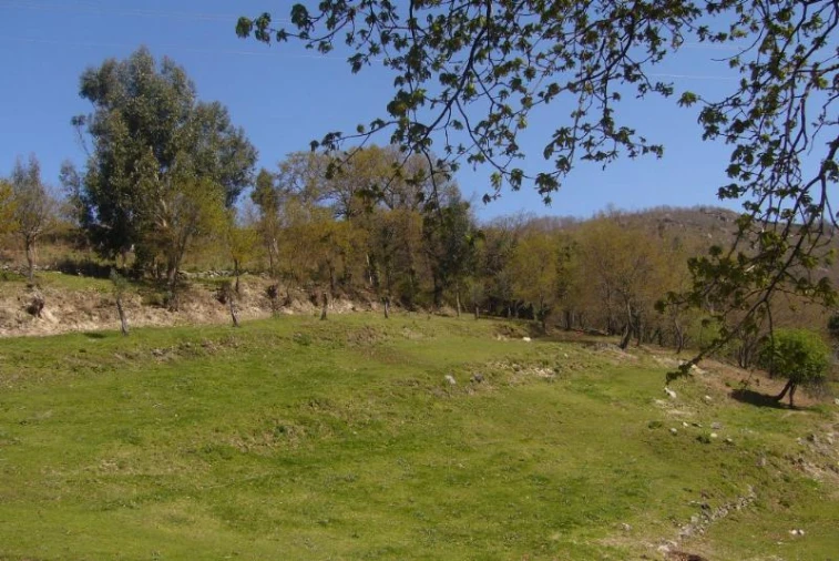 Terreno Agricola ou Rústico para Venda em Cantelães Foto 16