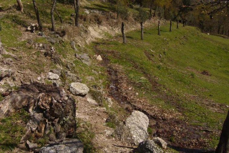Terreno Agricola ou Rústico para Venda em Cantelães Foto 17
