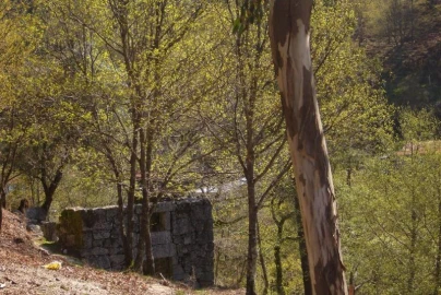 Negócio para Venda em Cantelães