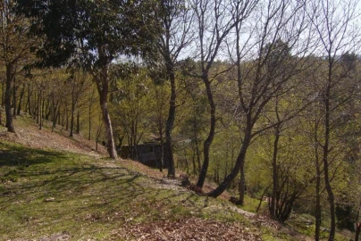 Negócio para Venda em Cantelães