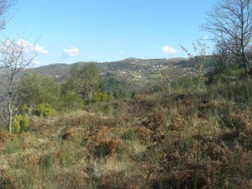 Terreno Agricola ou Rústico para Venda em Ventosa e Cova