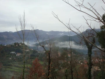 Terreno Agricola ou Rústico para Venda em Ventosa e Cova