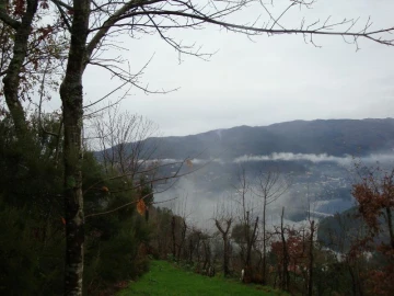 Terreno Agricola ou Rústico para Venda em Ventosa e Cova