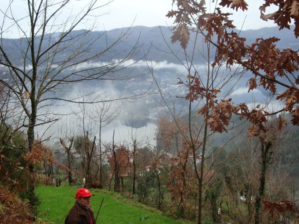 Terreno Agricola ou Rústico para Venda em Ventosa e Cova Foto 1