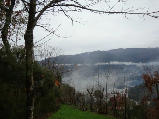 Terreno Agricola ou Rústico para Venda em Ventosa e Cova Foto 4
